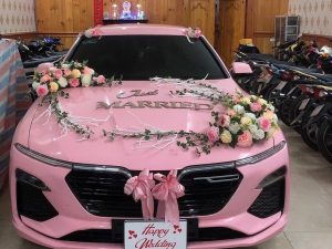 Cho thuê xe rước dâu tại Phú Mỹ