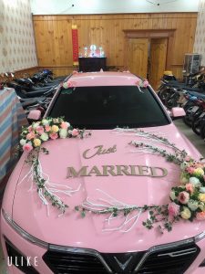 Cho thuê xe rước dâu tại Phú Mỹ